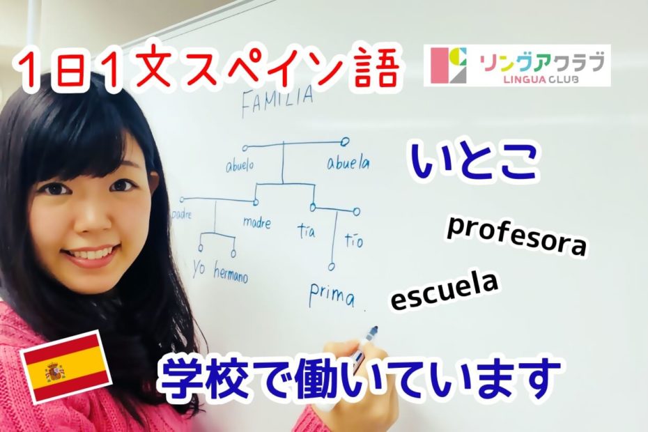 １日１文スペイン語(#41) - いとこは教師で、学校で働いています