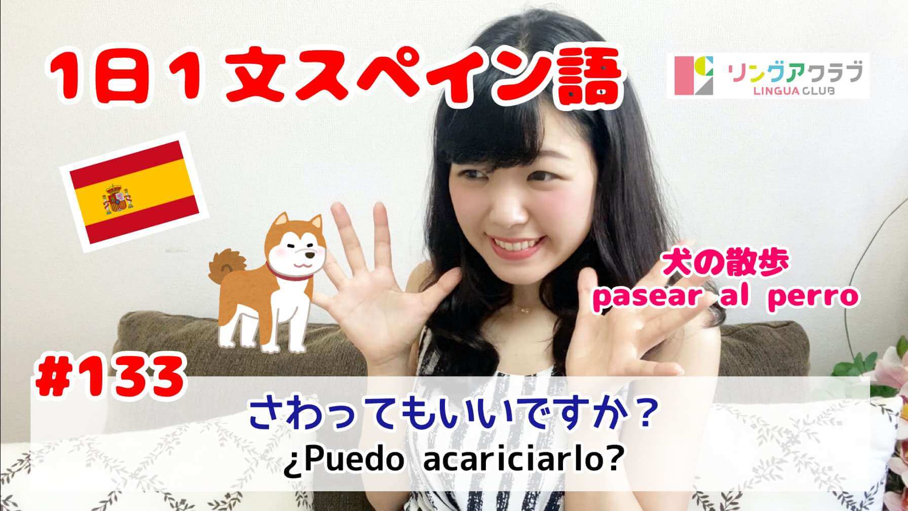 １日１文スペイン語 133 さわってもいいですか Pasear Al Perro 犬の散歩 リングアクラブ 浅草橋のスペイン語 英語教室