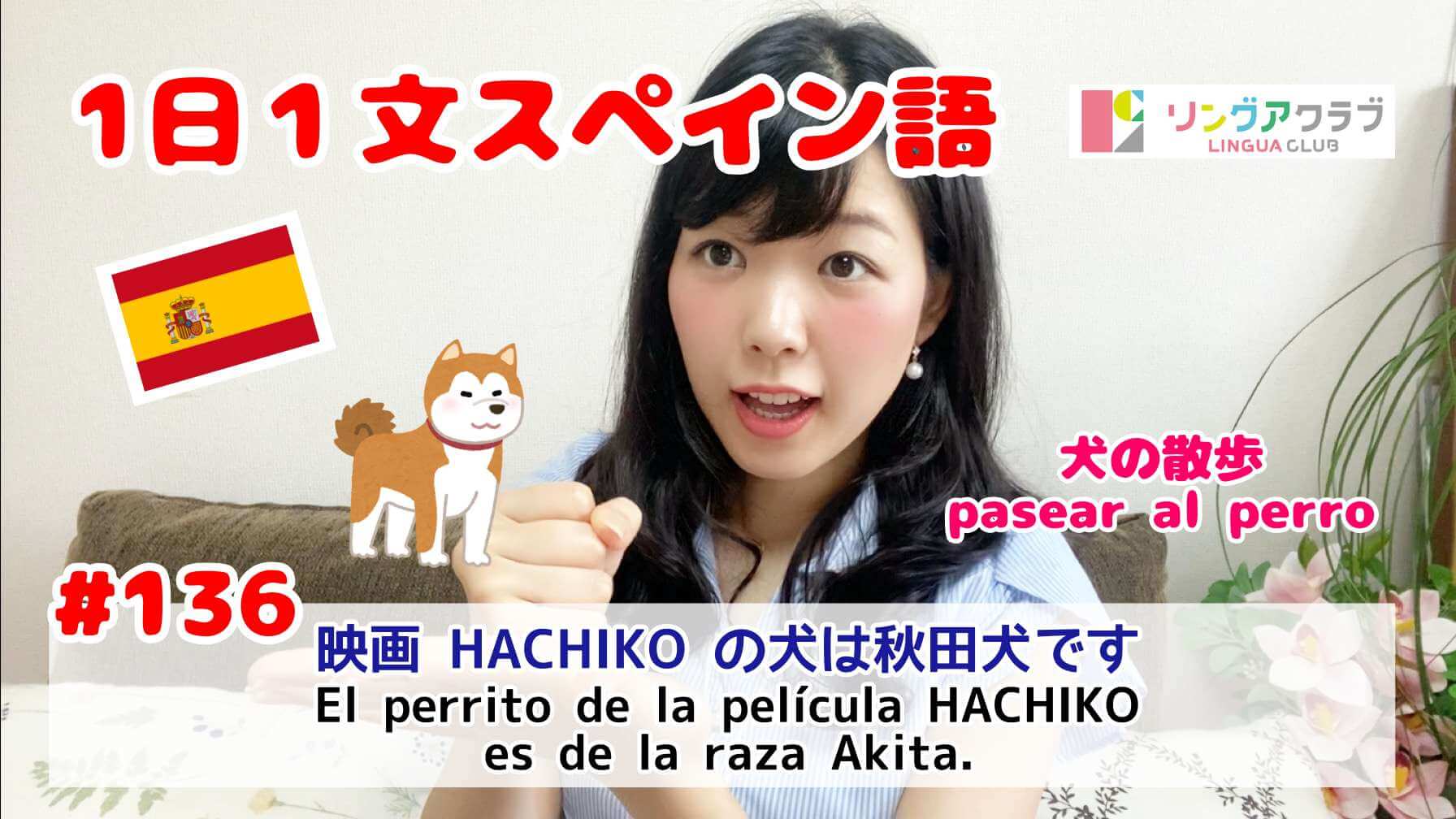 １日１文スペイン語 136 映画 Hachiko の犬は秋田犬です Pasear Al Perro 犬の散歩 リングアクラブ 浅草橋の スペイン語 英語教室